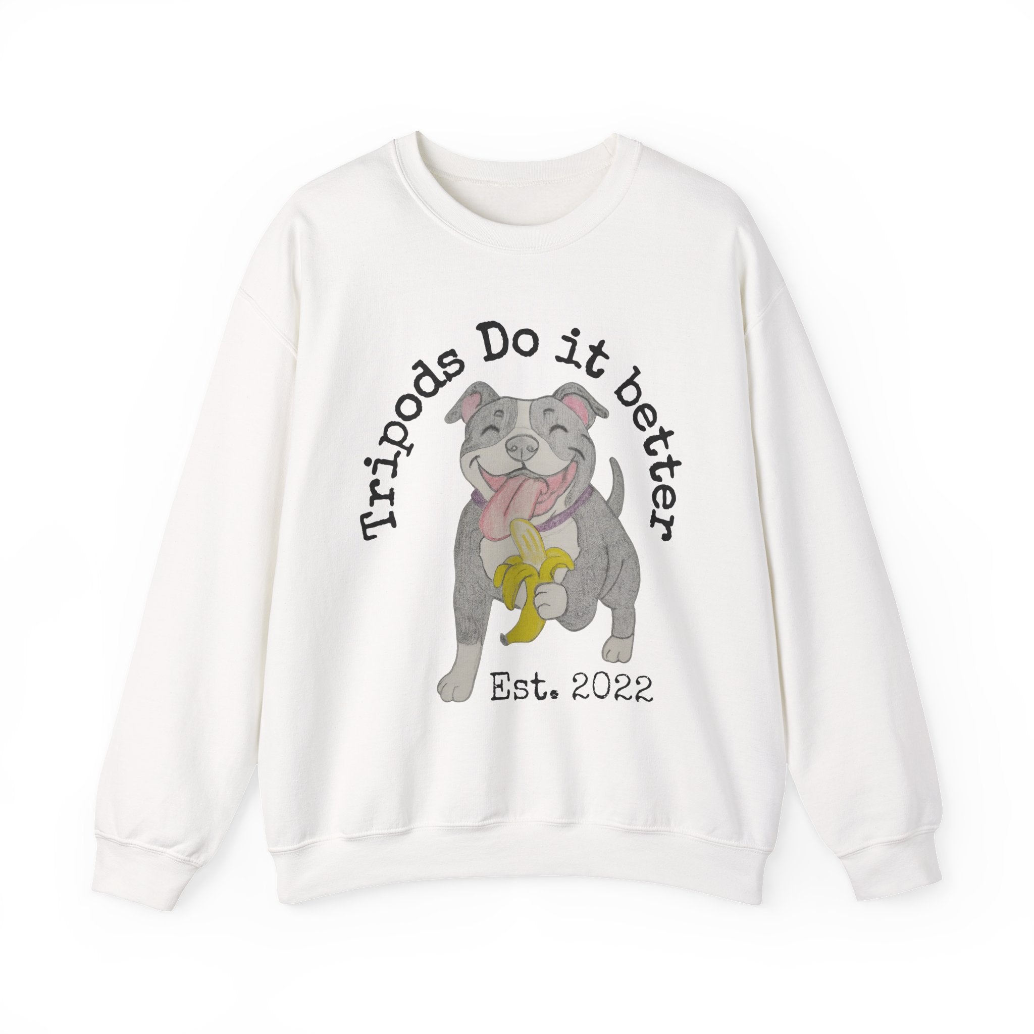 Adorable Tripod Dog Sweatshirt, Cozy Pet Lover Crewneck, Dog Parent Gift, Animal Rescue Apparel, Est. 2022 Sweatshirt