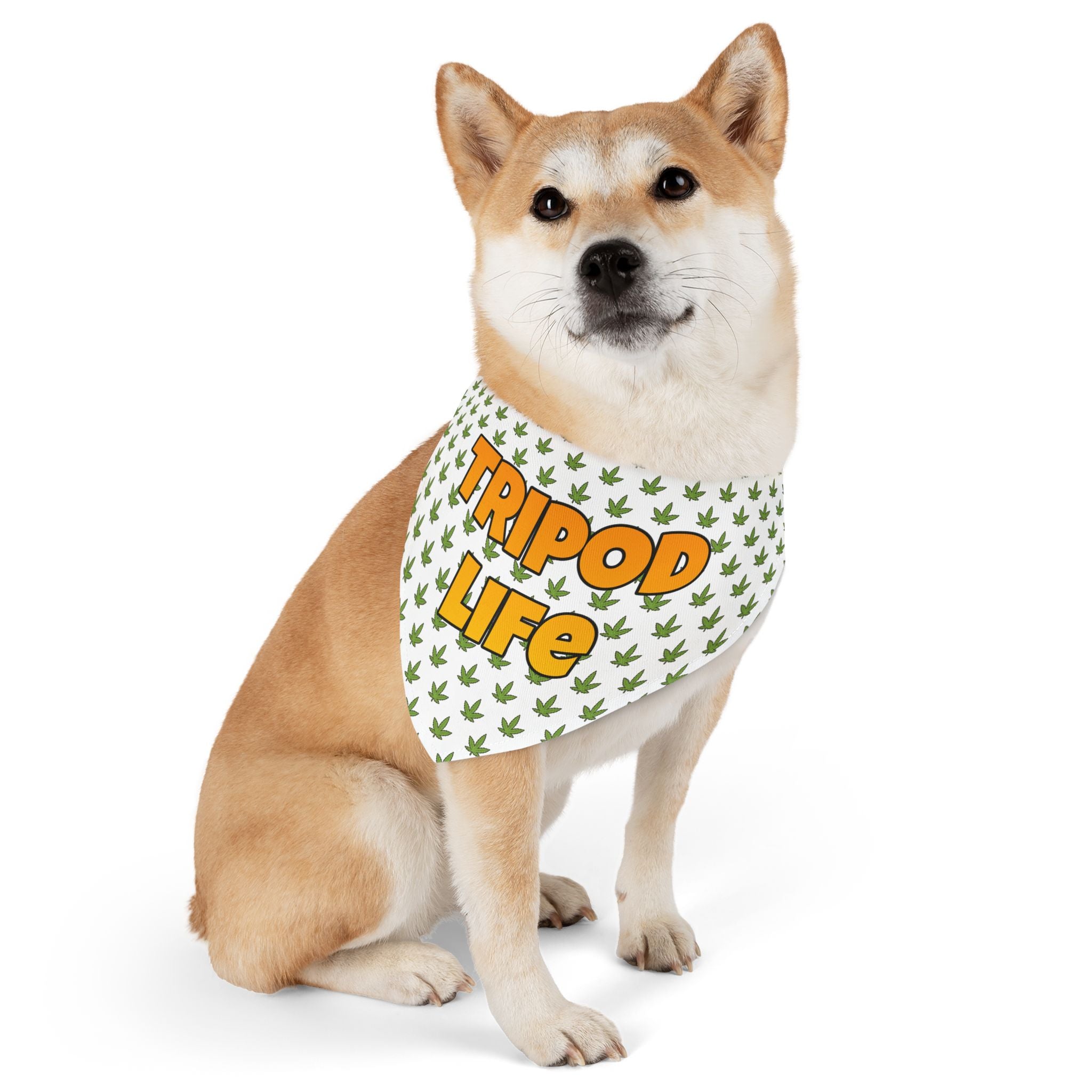 Fun Pet Bandana Collar | Tripod Life Dog Accessory, Cute Collar, Pet Gift, Personalized Dog Scarf, Dog Lovers, Holiday Pet Wear