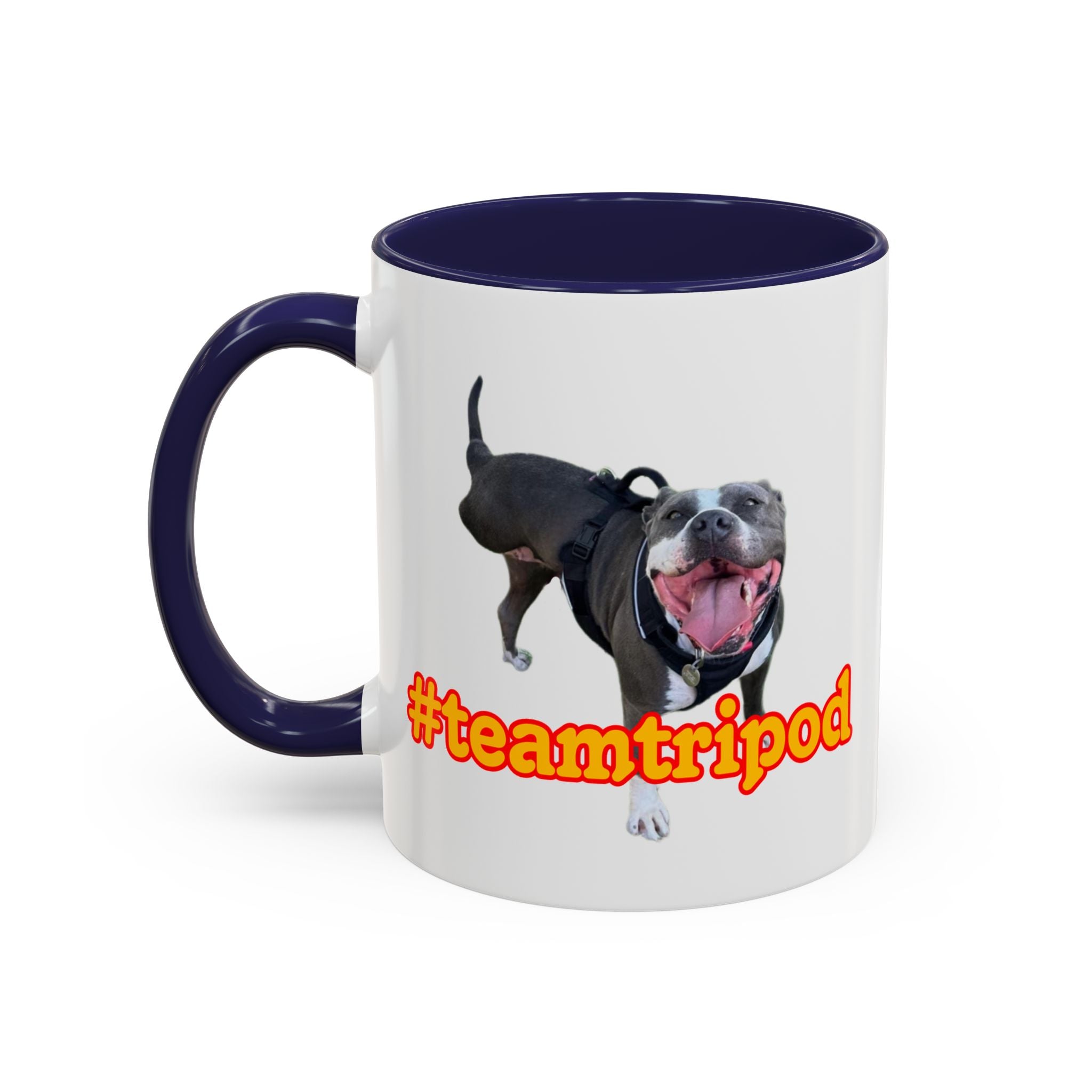 #teamtripod mug