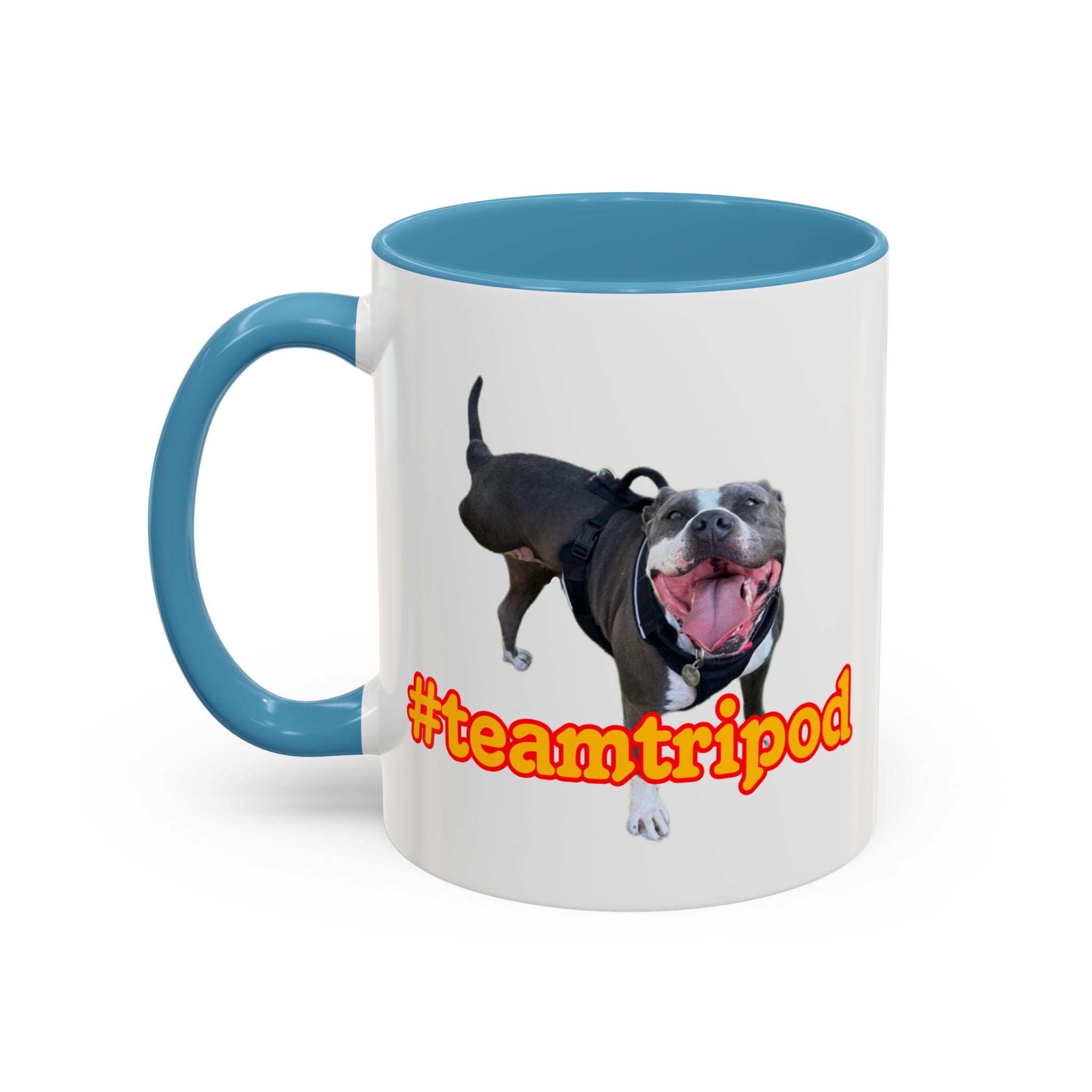 #teamtripod mug