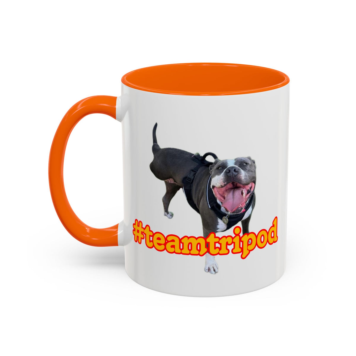 #teamtripod mug