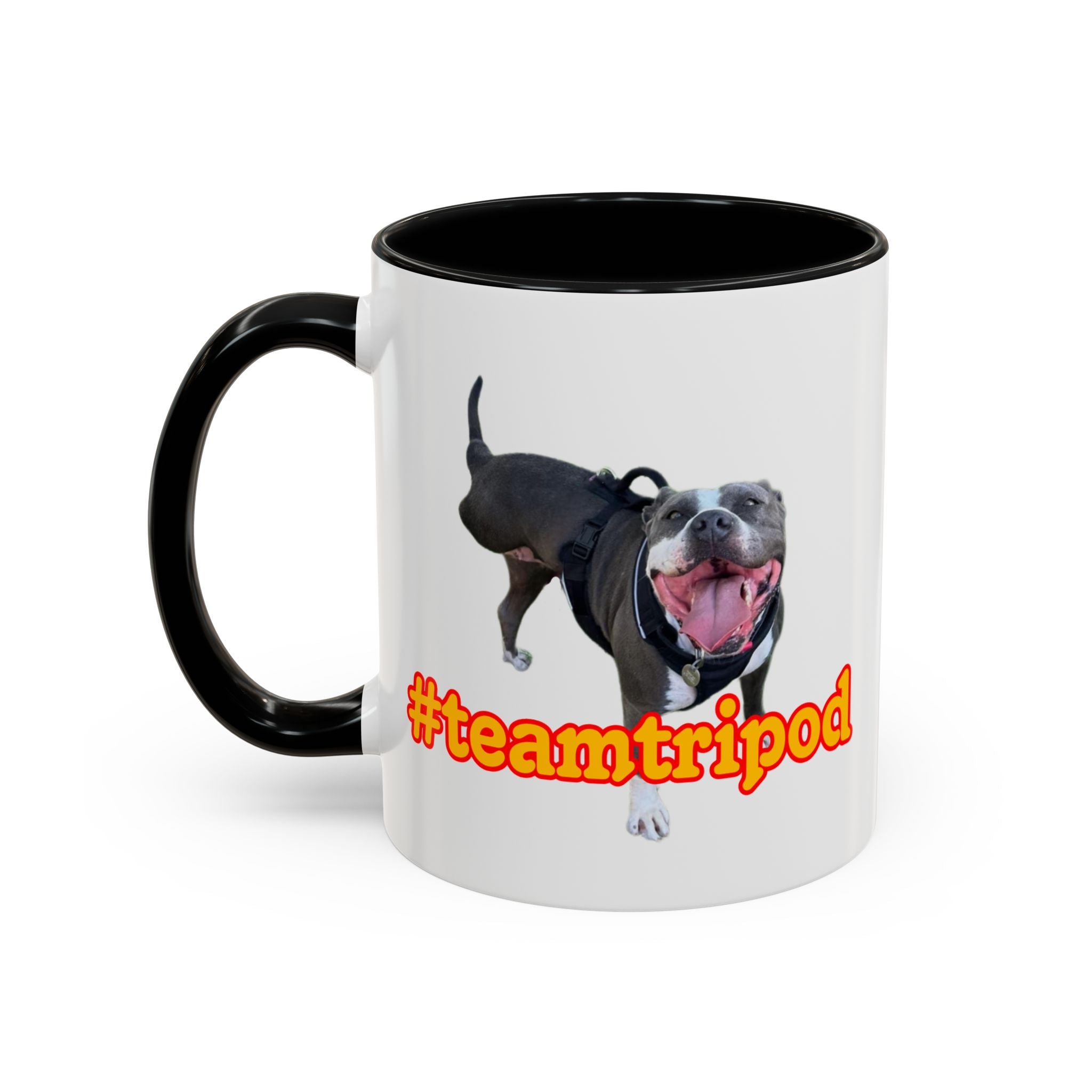 #teamtripod mug
