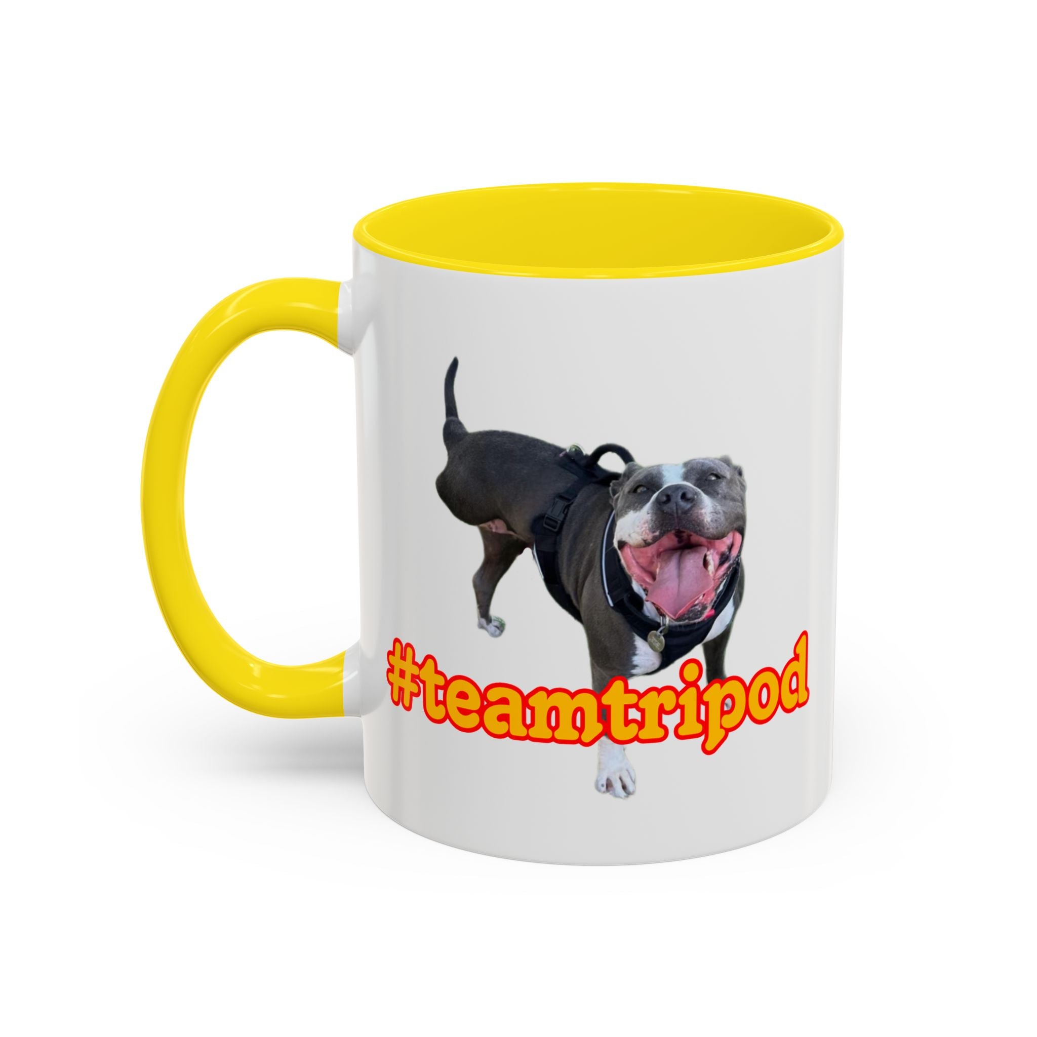 #teamtripod mug