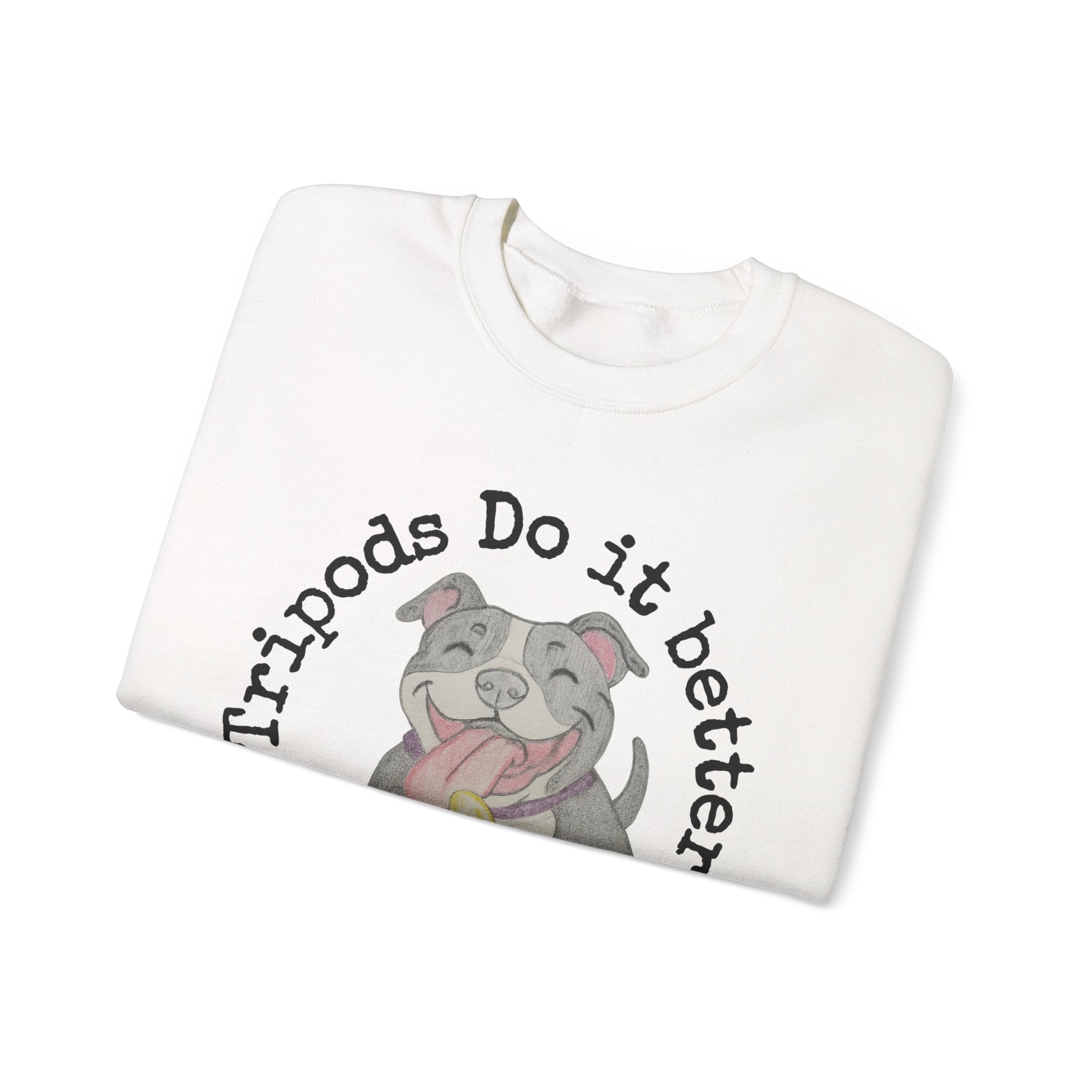Adorable Tripod Dog Sweatshirt, Cozy Pet Lover Crewneck, Dog Parent Gift, Animal Rescue Apparel, Est. 2022 Sweatshirt