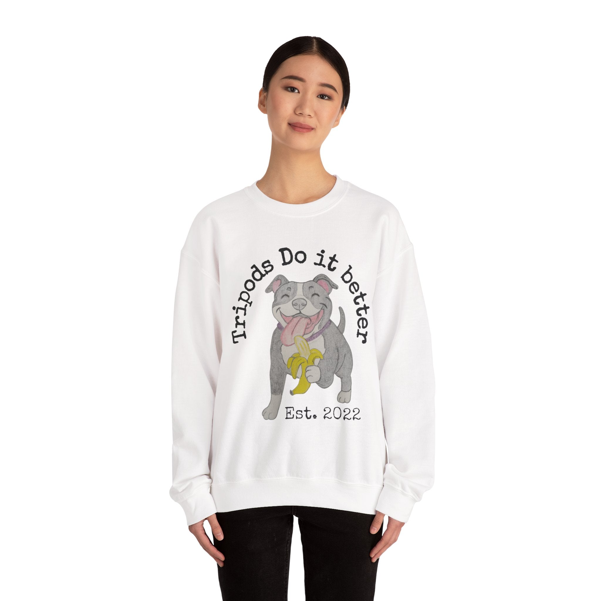 Adorable Tripod Dog Sweatshirt, Cozy Pet Lover Crewneck, Dog Parent Gift, Animal Rescue Apparel, Est. 2022 Sweatshirt